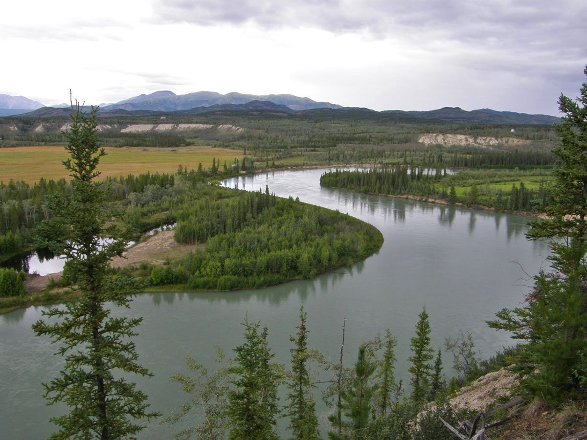 Muktuk Adventures - Dog Sledding Adventures | Yukon Territory Alaska ...