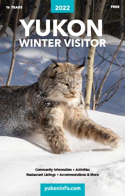 Yukon Winter Visitor Cover