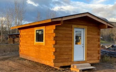 New log cabin